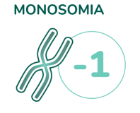 icon how4 monosomy_IT_2x
